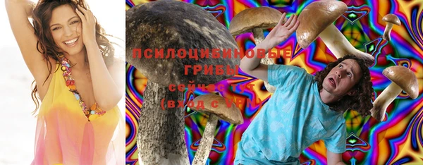 тгк Арсеньев